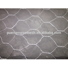 Best price!Galvanized Hexagonal wire netting/Hexagonal wire mesh/Chicken wire mesh